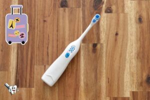 Where to Pack Electric Toothbrush When Flying