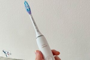 How to Clean a Philips Sonicare Electric Toothbrush
