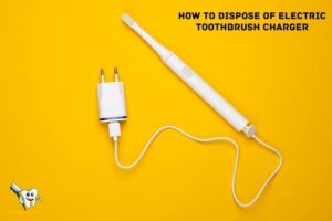 How to Dispose of Electric Toothbrush Charger