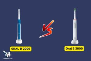 Oral B Electric Toothbrush 2000 Vs 3000: Which One Best!