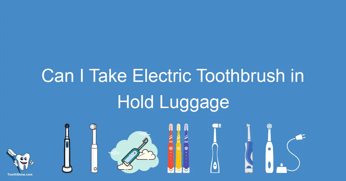 Can I Take Electric Toothbrush In Hold Luggage