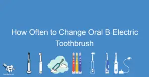 How Often to Change Oral B Electric Toothbrush Head