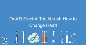 Oral B Electric Toothbrush How to Change Head