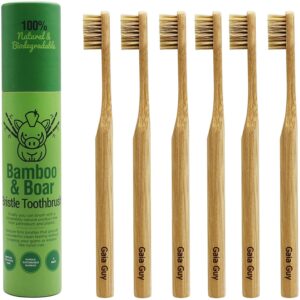 What are Natural Toothbrush Bristles Made of