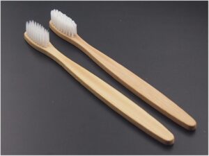 Why are Bamboo Toothbrushes Better for the Environment
