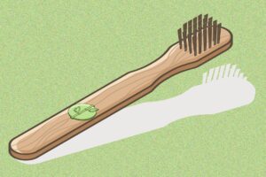 What is the Most Eco Friendly Toothbrush