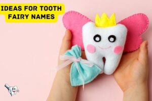 Ideas for Tooth Fairy Names