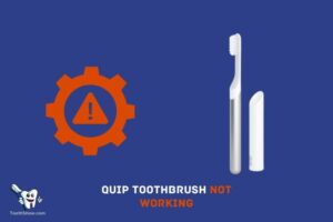 Why is My Quip Toothbrush Not Working