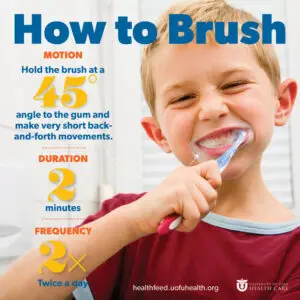 What is the Most Frequently Recommended Toothbrushing Method