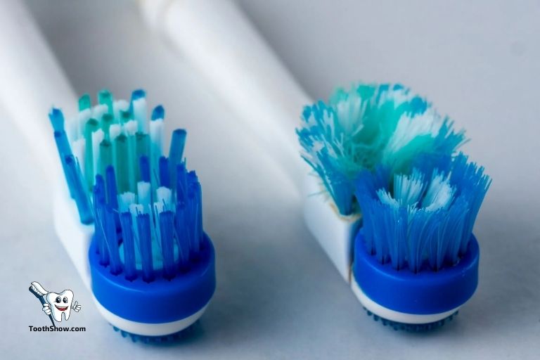 Are Bristle Toothbrushes Better