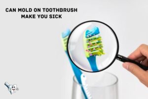 Can Mold on Toothbrush Make You Sick