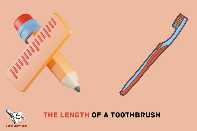 What is the Length of a Toothbrush