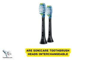 Are Sonicare Toothbrush Heads Interchangeable