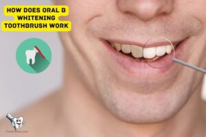 How Does Oral B Whitening Toothbrush Work