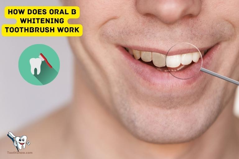 how-does-oral-b-whitening-toothbrush-work