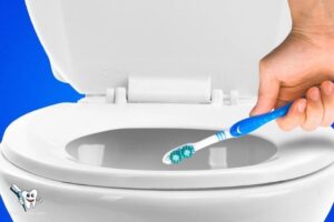 What Happens If You Put Someone’S Toothbrush in the Toilet