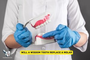 Will a Wisdom Tooth Replace a Molar