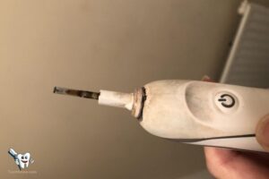 How to Clean Electric Toothbrush Mold