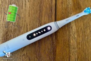 Oral B Electric Toothbrush How to Know When Fully Charged