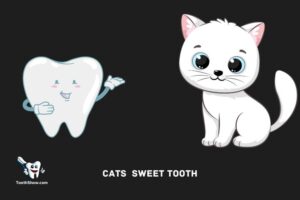 Do Cats Have a Sweet Tooth: No!