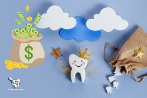 Does Management Think the Tooth Fairy Pays for Capital Expenditures