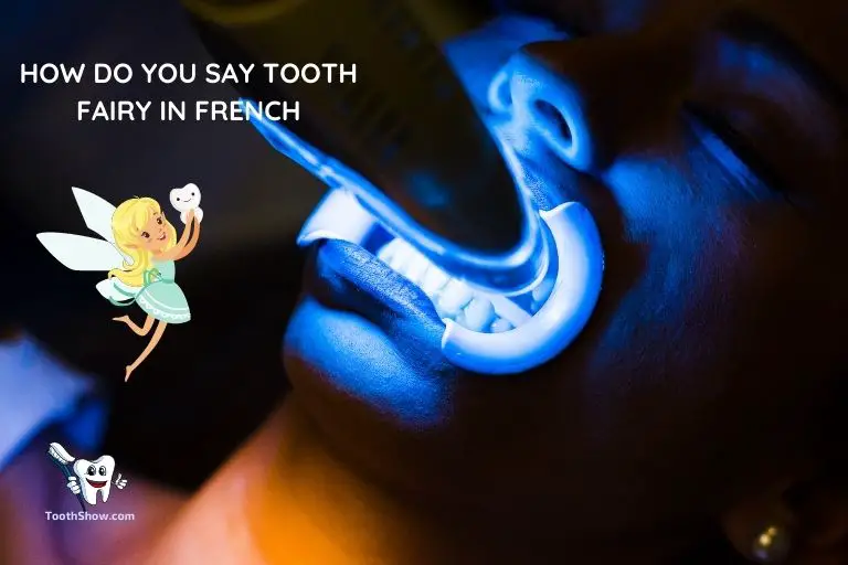 How Do You Say Tooth Fairy in French