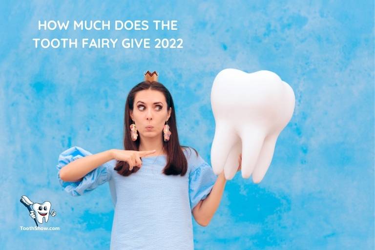 How Much Does the Tooth Fairy Give