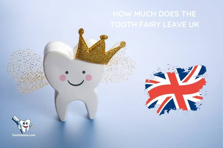 How Much Does the Tooth Fairy Leave Uk