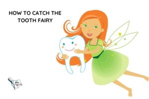How to Catch the Tooth Fairy – Tips and Tricks
