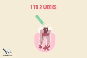 How Long Does a Tooth Abscess Take to Drain? 1 to 2 Weeks!