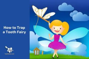 How to Trap a Tooth Fairy