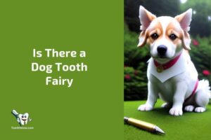 Is There a Dog Tooth Fairy? Exploring the Myth and Legend