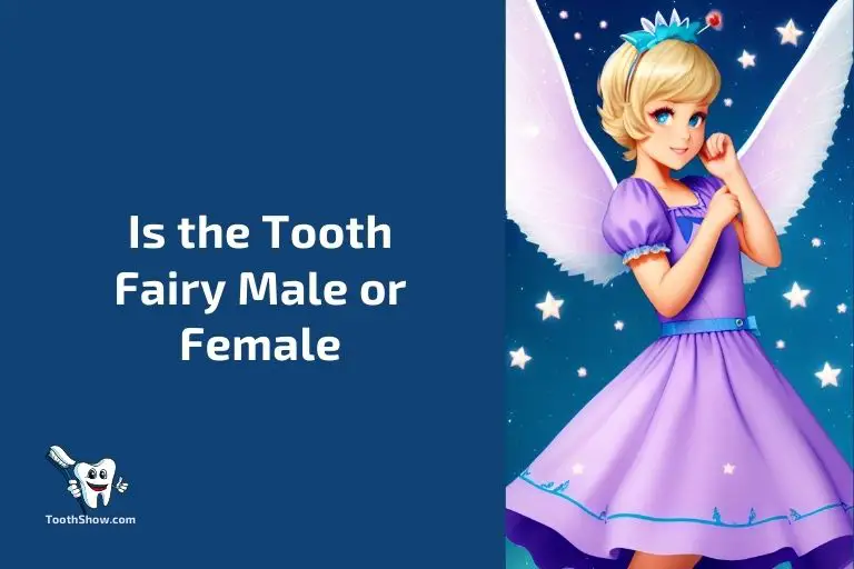 Is the Tooth Fairy Male or Female