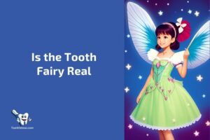 Is the Tooth Fairy Real? No!