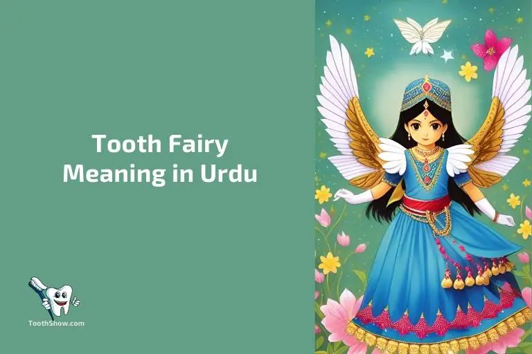 Tooth Fairy Meaning in Urdu
