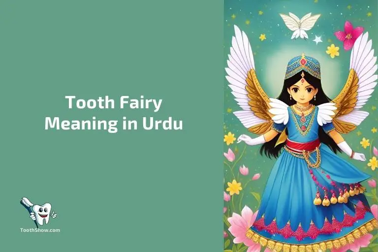 Tooth Fairy Meaning In Urdu Dant Pari