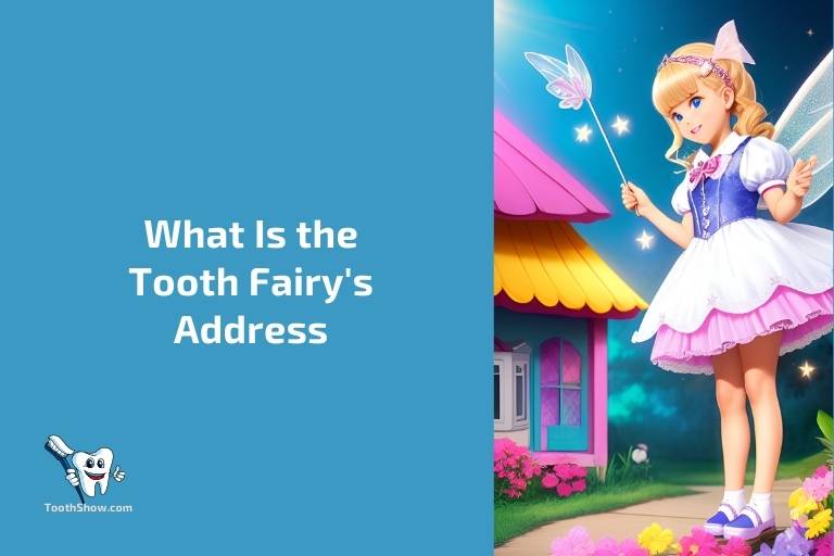 What Is the Tooth Fairys Address