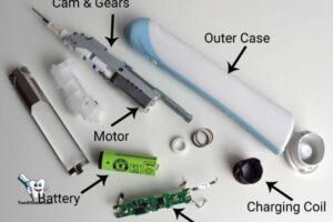 What’S Inside an Electric Toothbrush