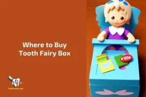 Where to Buy Tooth Fairy Box