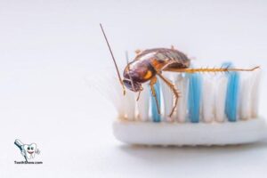 Why Do Cockroaches Like Toothbrushes