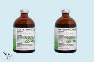 Can Oxytetracycline Treat Tooth Abscess? Yes!