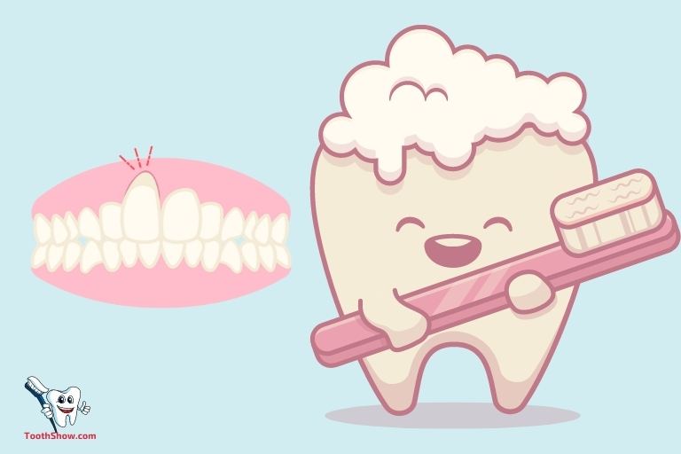 Can You Brush an Abscessed Tooth