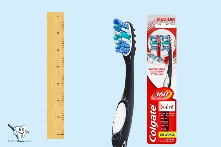 how big is a colgate toothbrush