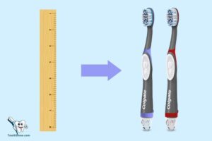 How Long is a Colgate Toothbrush in Inches? 7.5 Inches!