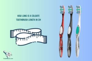 How Long is a Colgate Toothbrush Length in Cm? 19 Cm!